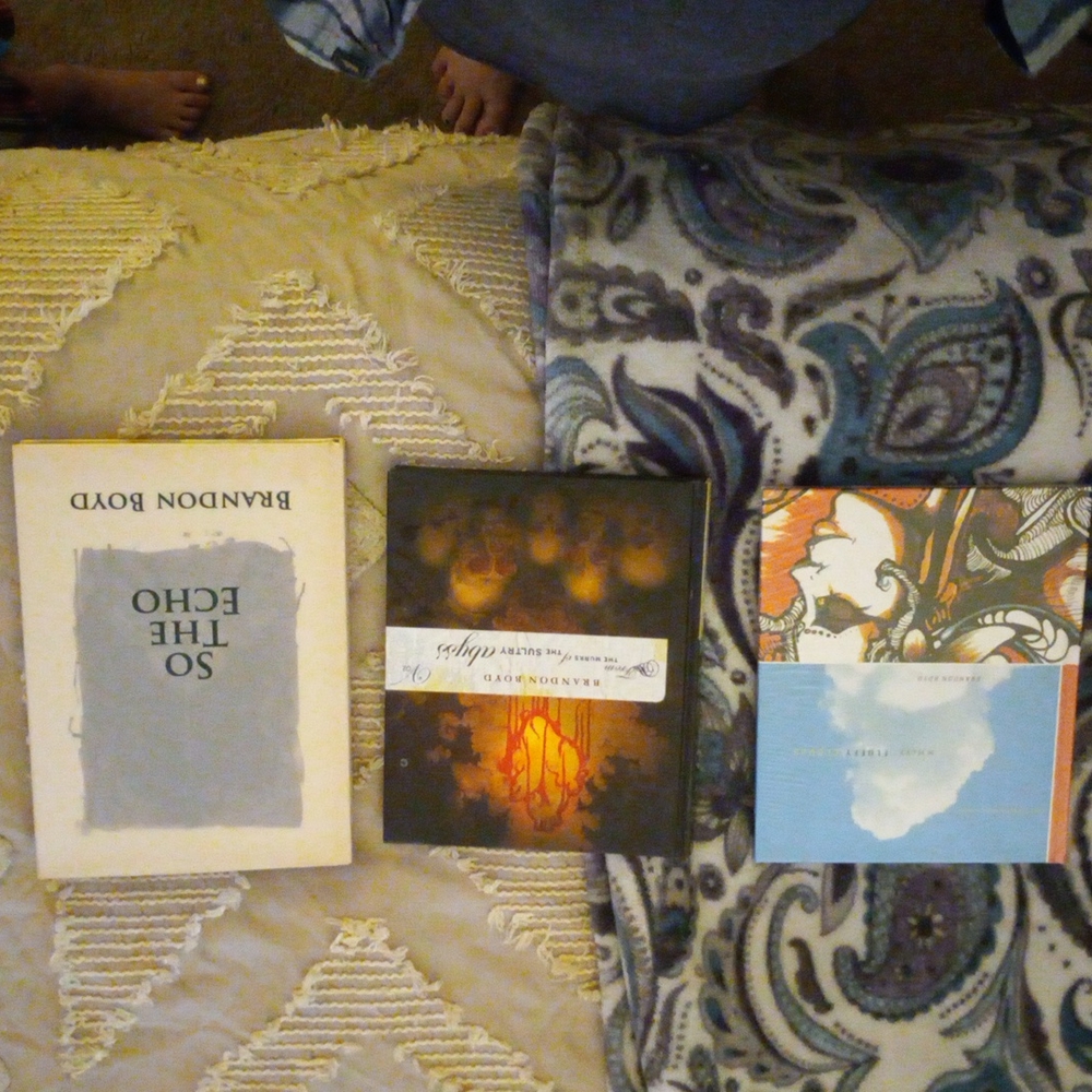 Brandon Boyd Book Bundle - Picture 3 of 9